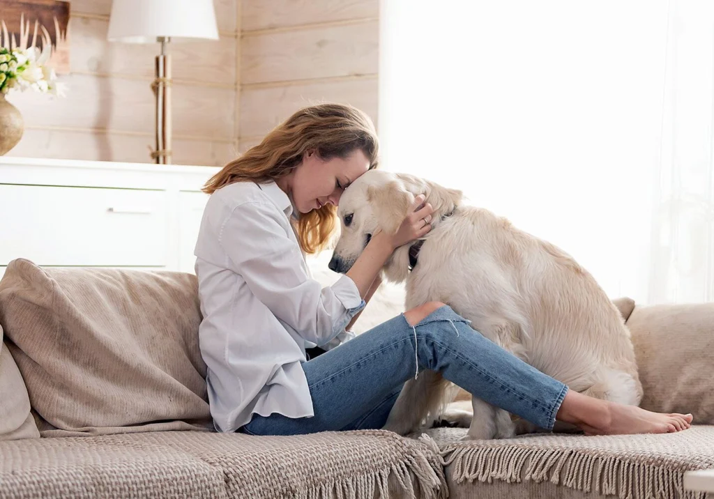 Woman comforting a dog on sofa
