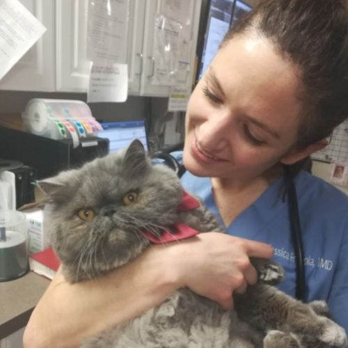 Dr. Jessica Fragola founder Paws at Peace