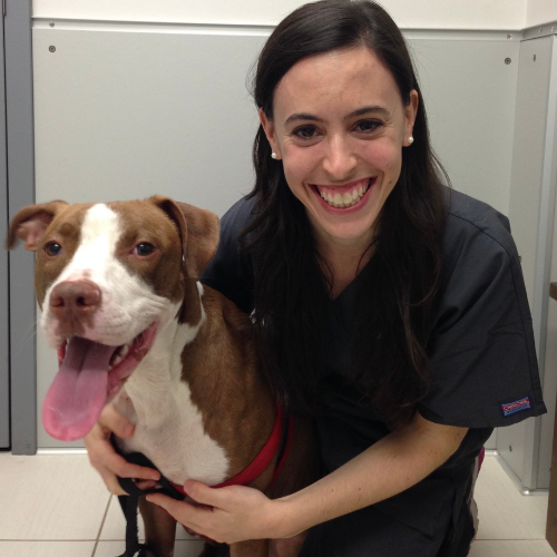 Dr. Jenna Goldhaber Veterinarian Paws at Peace