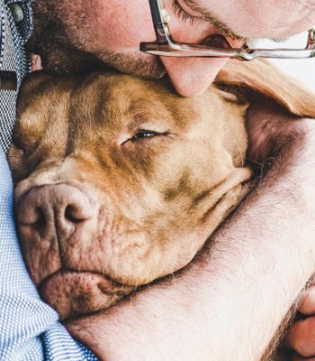 owner hugging senior dog with lymphoma before home euthanasia