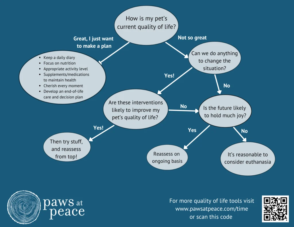 Pet quality of life decision flowchart