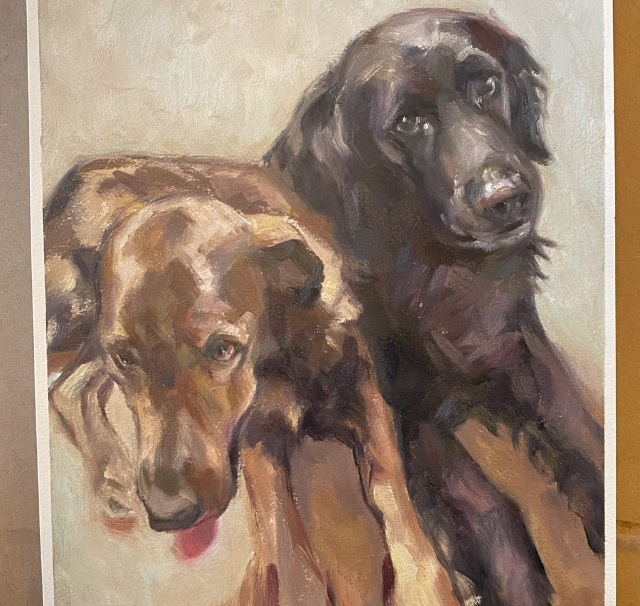Senior dogs painting
