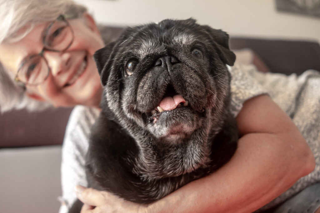 Owner holding senior dog lovingly