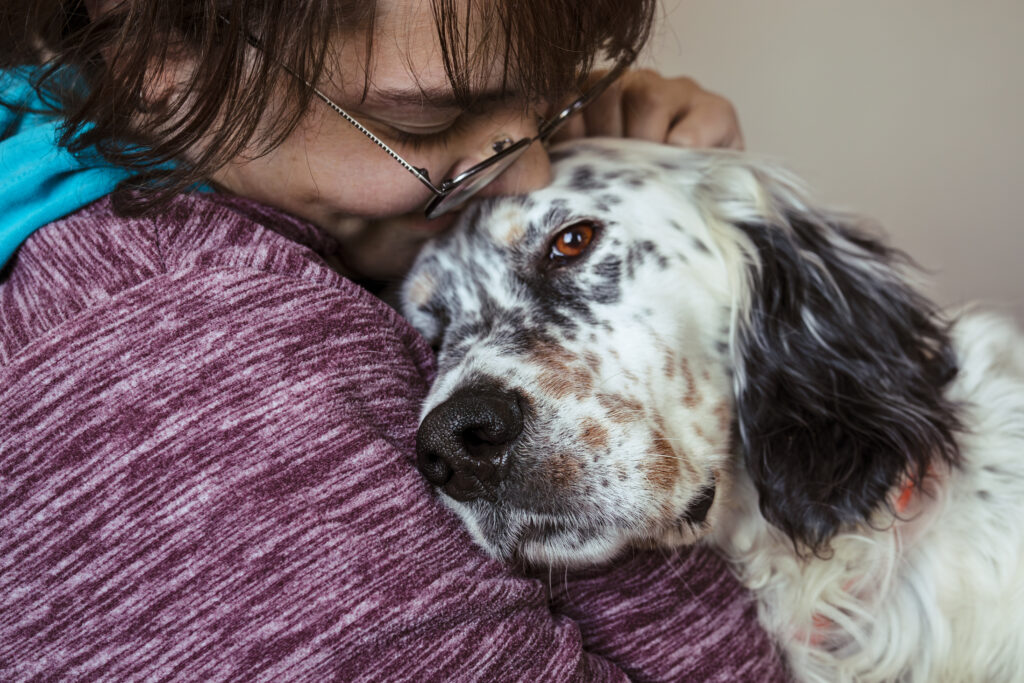 Owner comforting senior dog